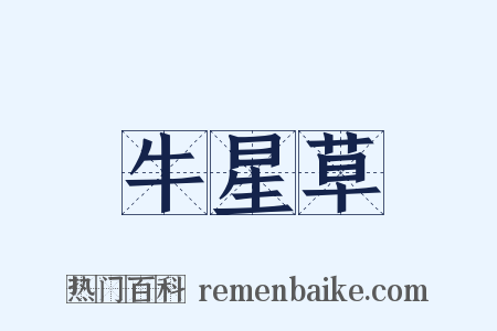 牛星草是什么意思的图片